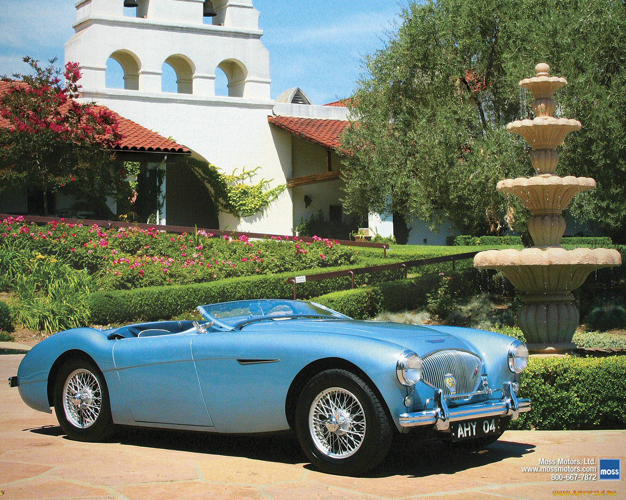 , austin, healy